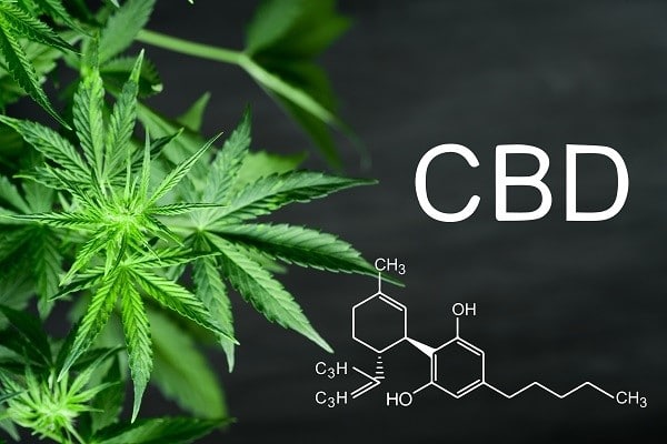 Cbd веста 51