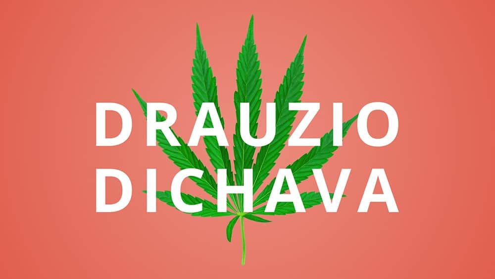 drauzio dichava documentário sobre maconha