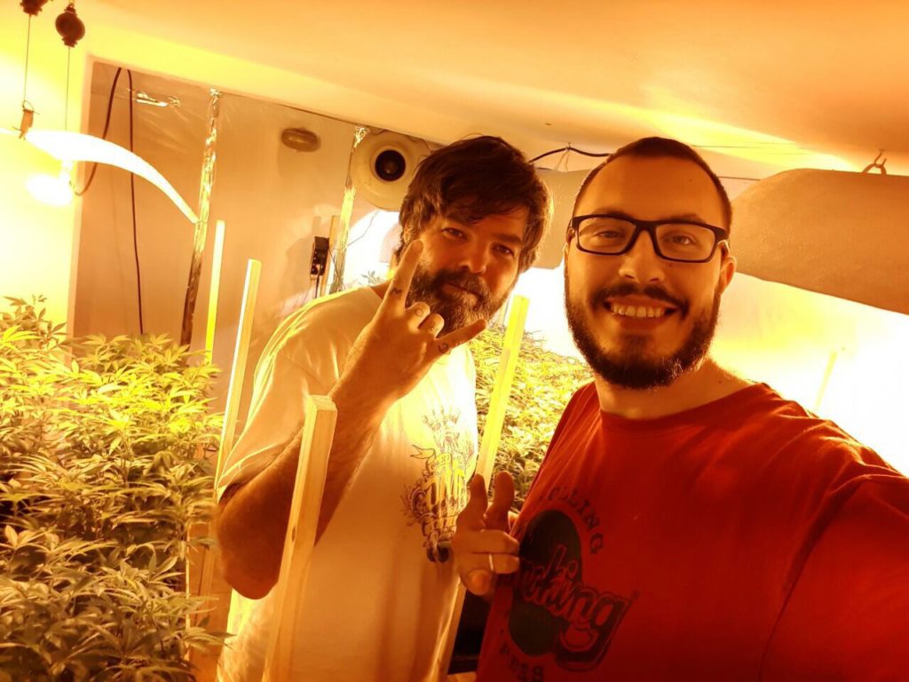 habeas corpus para cultivo medicinal de Cannabis fernando