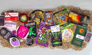 bancos de sementes de maconha - Créditos Growr en Casa