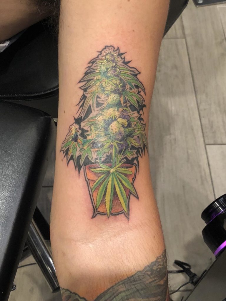 tatuagem de pé de maconha