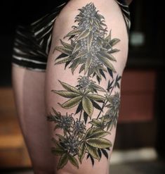 tatuagem do camarão de maconha