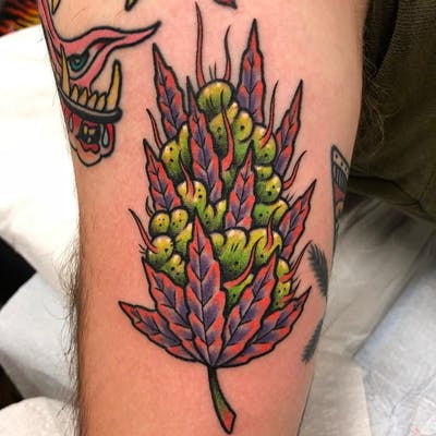 tatuagem de flor de maconha camarão