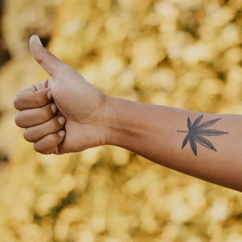 tatuagem de folha de maconha pequena