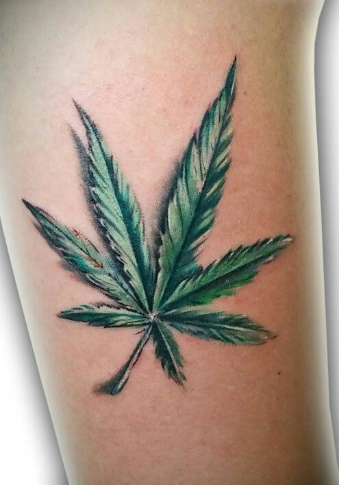 tatuagem da folha de maconha