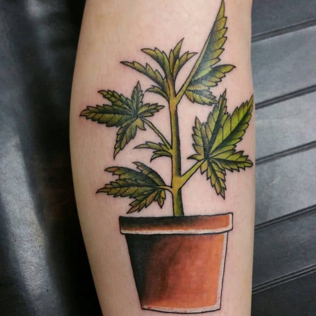 tatuagem de pé de maconha