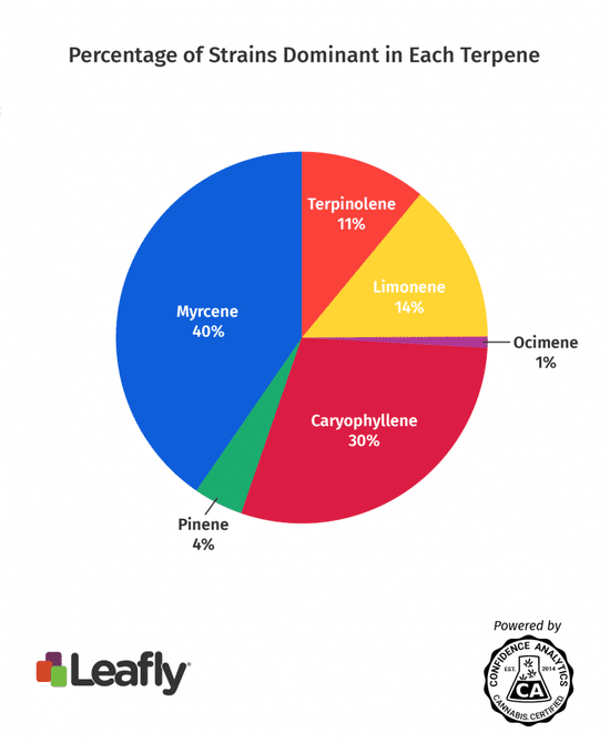 erpenos dominantes Cannabis - Leafly