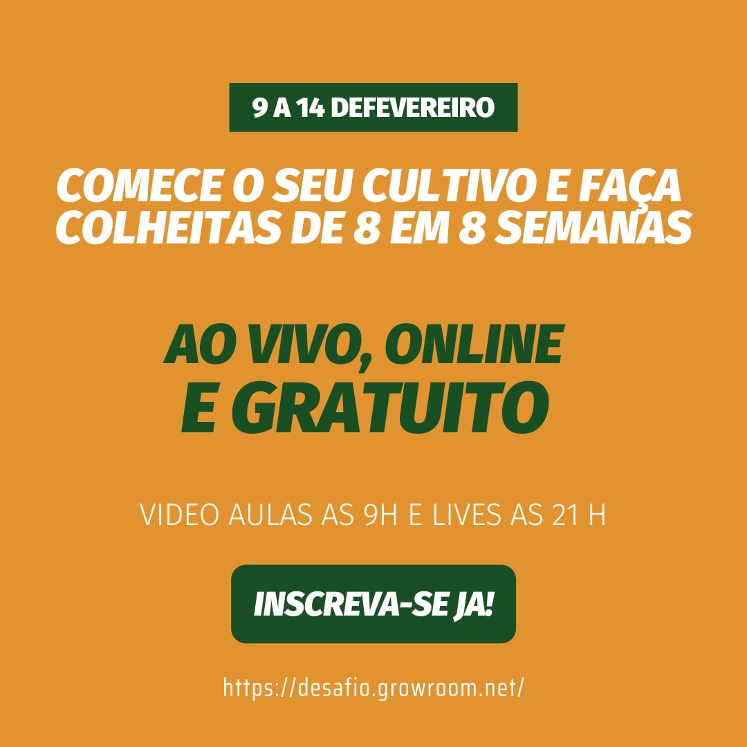 desafio pote cheio informacoes desafio pote cheio informacoes
