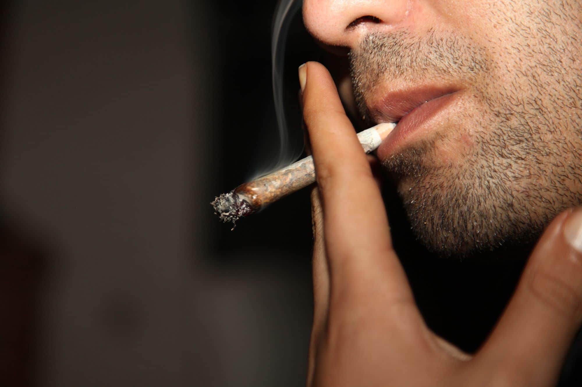 maconha vicia e viciante New York Post maconha vicia e viciante New York Post