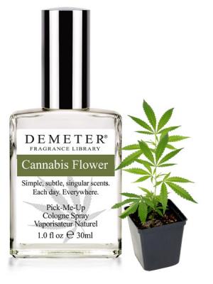 Perfume com cheiro de annabis Demeter Perfume com cheiro de annabis Demeter