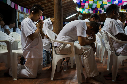 efeitos cha ayahuasca efeitos cha ayahuasca