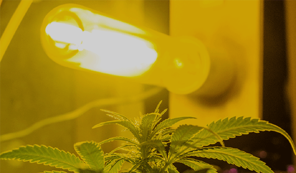 BL hid lights lâmpadas HPS