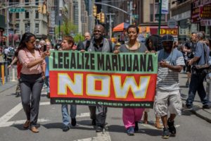 maconha em nova york Cassius Life