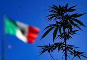 México legalização maconha