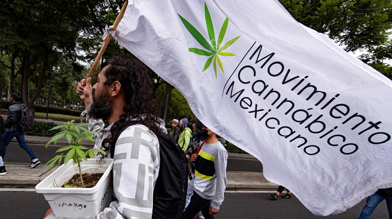 mexico maconha legalizacao RioTimes